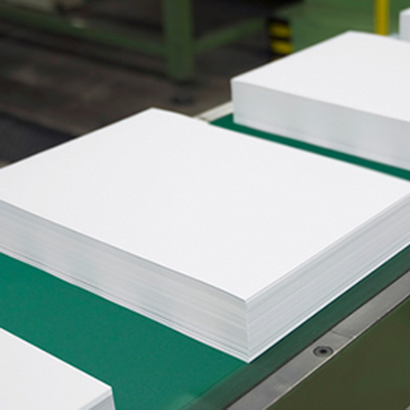 Conveyor belt for paper and print industry