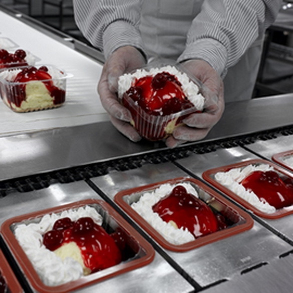 Chemical resistance, oil/fat resistance, FDA EU certified conveyor belts