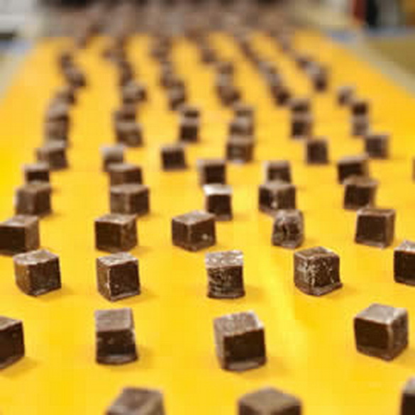 Chemical resistance, oil/fat resistance, FDA EU certified conveyor belts